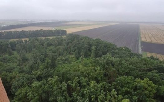 Продам квартиру 40 кв. м., 14/16, новый дом, жк Реал Парк.