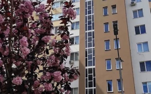 Продам квартиру 26.5 кв. м., 5/10, новый дом, жк Eco Solaris.