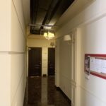 Продам большую квартиру в новом доме в жк Авторский. — фото 12
