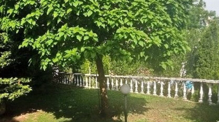 Продам двухэтажный дом 305 кв. м., Царское село-1, ул. Солнечная. — фото 8