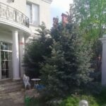 Продам двухэтажный дом 305 кв. м., Царское село-1, ул. Солнечная. — фото 6