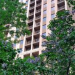 Продам квартиру - студию 28.74 кв. м., 20/26, новый дом, жк Эллада. — фото 8