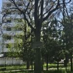 Продам евродвушку 36.9 кв. м., 8/9, новый дом, жк Алексеевский. — фото 7