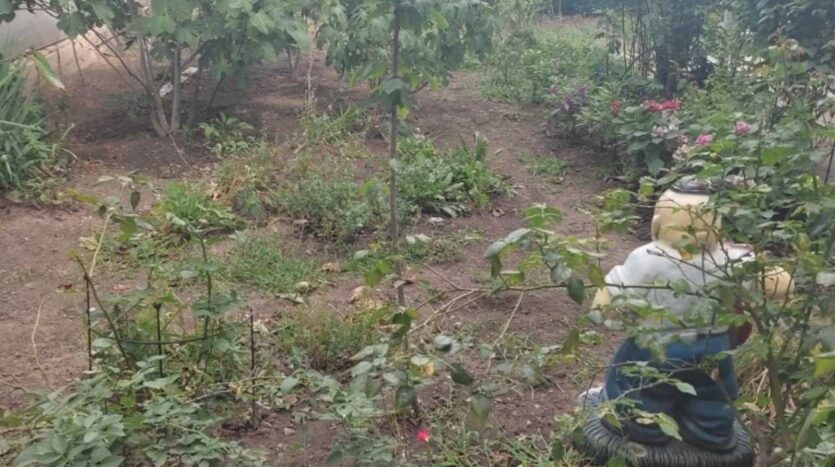 Продам два двухэтажных дома на участке, Черноморка. — фото 5