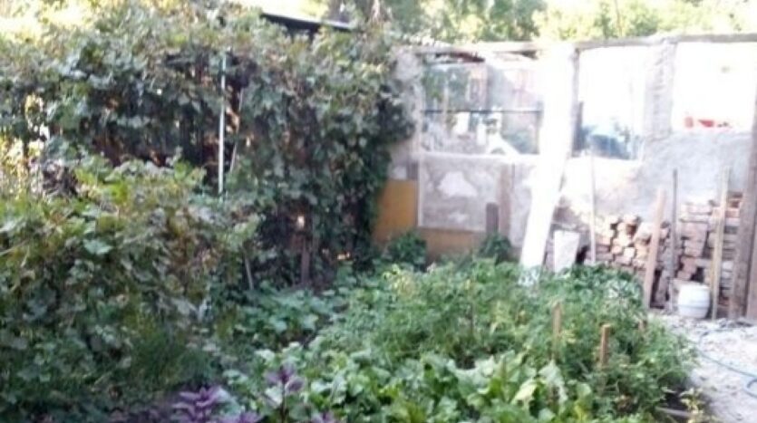 Продам квартиру 52 кв.м., 1/2, ул. Ген. Швыгина/Новаторов. — фото 4