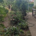 Продам два двухэтажных дома на участке, Черноморка. — Головне фото