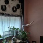 Продам двухэтажный дом в закрытом жм Добрый (Хаджибеевский район). — фото 14