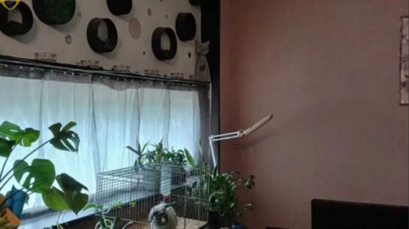 Продам двухэтажный дом в закрытом жм Добрый (Хаджибеевский район). — фото 14