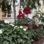 Продам квартиру 140 кв. м., 10/16, новый дом, ул. Кленовая. — фото 9