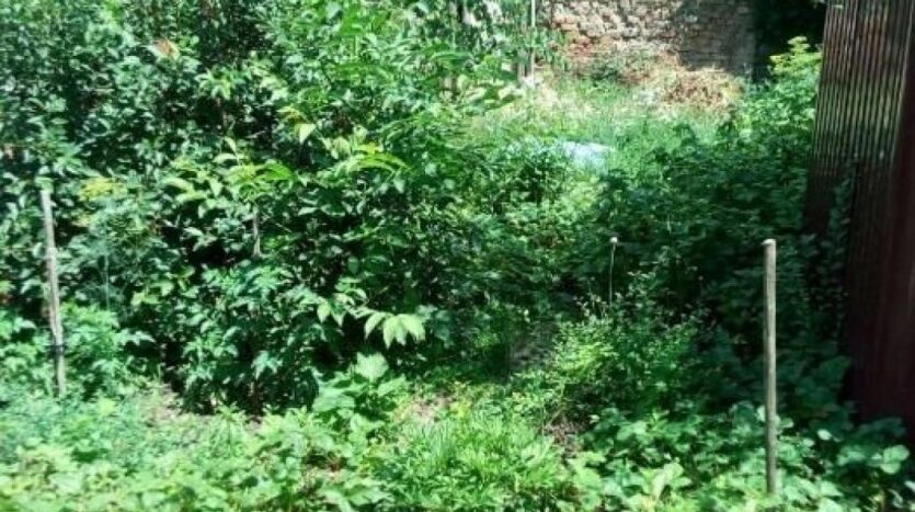 Продам 2 комнатную квартиру на земле, Люстдорфская дор./Толбухина пл., 1/1, 55 кв.м. — фото 8