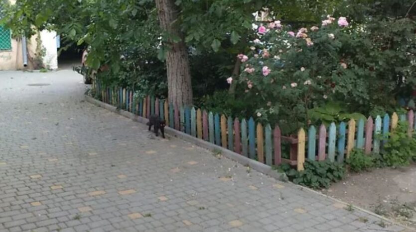 Продам квартиру 40 кв. м., 1/2, ул. Нежинская/Льва Толстого. — фото 27