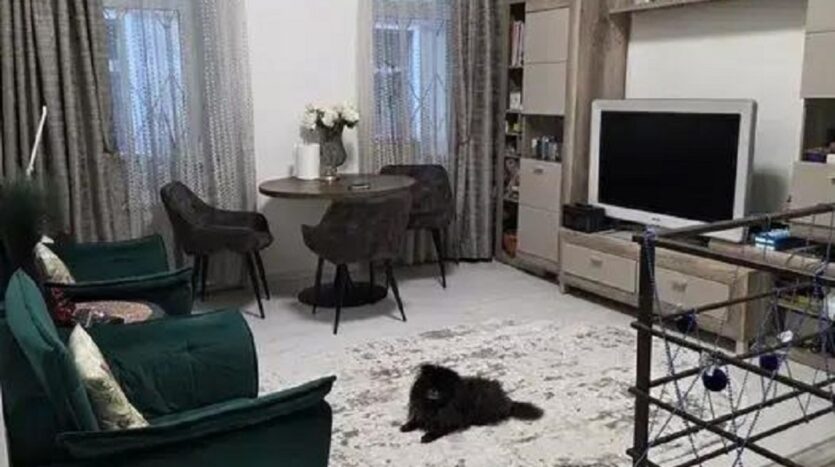 Продам двухповерхову квартиру, вул. Рішельєвська/Пантелеймонівська — фото 4