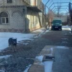 Продам триповерховий будинок на селищі Шевченка — фото 22