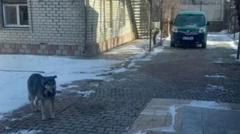 Продам триповерховий будинок на селищі Шевченка — фото 22