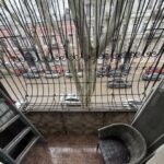 Продам 2 кімнатну квартиру, вул. Пушкінська/Успенська — Головне фото