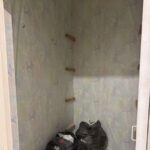 Продам 3 кімнатну квартиру в новому будинку в ЖК Смарагдовий Місто — Головне фото