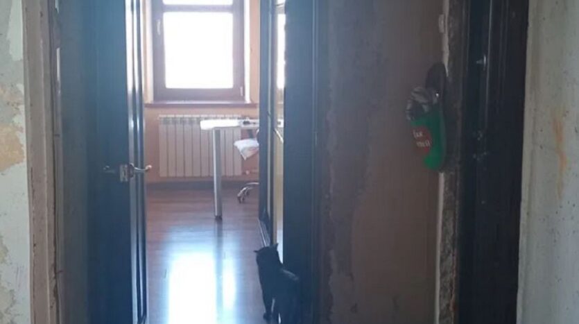 Продам квартиру 55 кв. м., 11/16, Добровольского проспект/Марсельская. — фото 6