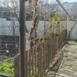 Продам одноэтажный дом 58 кв. м., ул. Костанди/Ильфа и Петрова. — фото 15