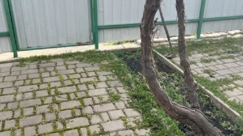 Продам 2 кімнатну квартиру на землі в районі Більшовика — фото 10