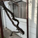 Продам 2 кімнатну квартиру на землі в районі Більшовика — фото 7