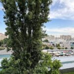 Продам 3 кімнатну квартиру, Ак. Глушка пр./Незалежності площа — Головне фото