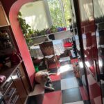 Продам квартиру 49.3 кв.м., 4/5, ул. Комитетская/Мясоедовская. — фото 3